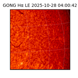gong - 2025-10-28T04:00:42