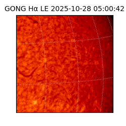 gong - 2025-10-28T05:00:42