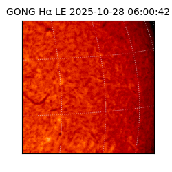 gong - 2025-10-28T06:00:42