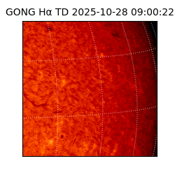 gong - 2025-10-28T09:00:22