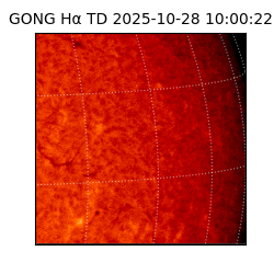 gong - 2025-10-28T10:00:22
