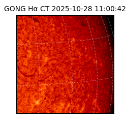 gong - 2025-10-28T11:00:42