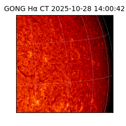 gong - 2025-10-28T14:00:42