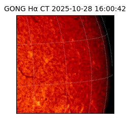 gong - 2025-10-28T16:00:42
