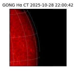 gong - 2025-10-28T22:00:42
