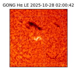 gong - 2025-10-28T02:00:42