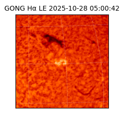 gong - 2025-10-28T05:00:42
