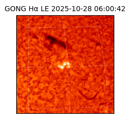 gong - 2025-10-28T06:00:42
