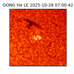 gong - 2025-10-28T07:00:42