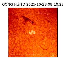 gong - 2025-10-28T08:10:22