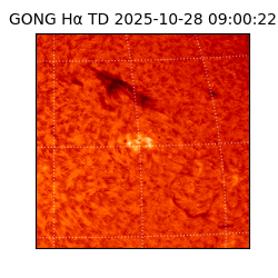 gong - 2025-10-28T09:00:22