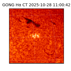 gong - 2025-10-28T11:00:42