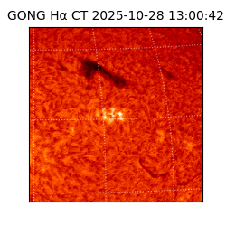 gong - 2025-10-28T13:00:42