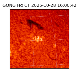 gong - 2025-10-28T16:00:42