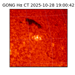 gong - 2025-10-28T19:00:42