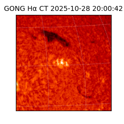 gong - 2025-10-28T20:00:42