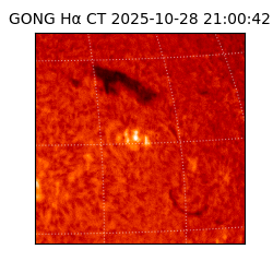 gong - 2025-10-28T21:00:42