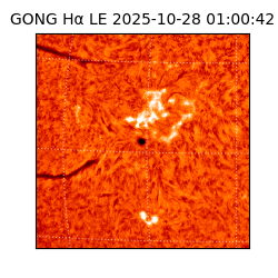 gong - 2025-10-28T01:00:42