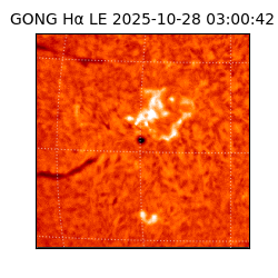 gong - 2025-10-28T03:00:42