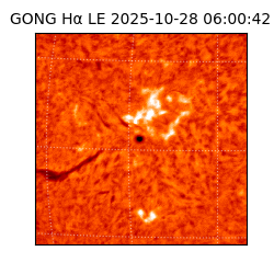 gong - 2025-10-28T06:00:42