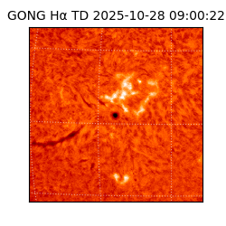 gong - 2025-10-28T09:00:22