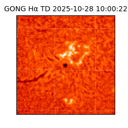 gong - 2025-10-28T10:00:22