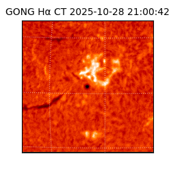 gong - 2025-10-28T21:00:42