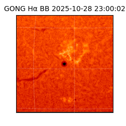 gong - 2025-10-28T23:00:02