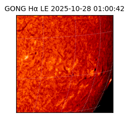 gong - 2025-10-28T01:00:42