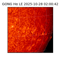 gong - 2025-10-28T02:00:42