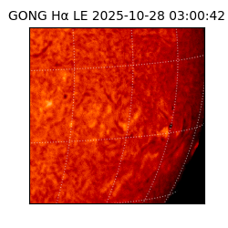gong - 2025-10-28T03:00:42