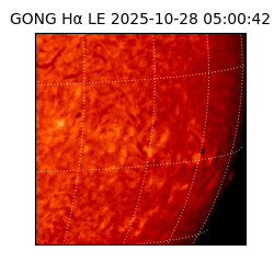 gong - 2025-10-28T05:00:42