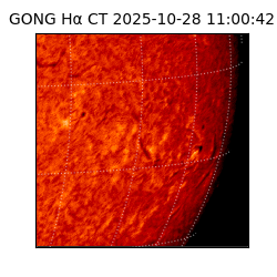 gong - 2025-10-28T11:00:42