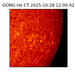 gong - 2025-10-28T12:00:42