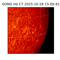 gong - 2025-10-28T15:00:42
