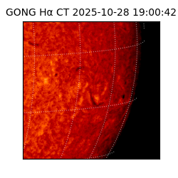 gong - 2025-10-28T19:00:42