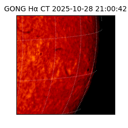 gong - 2025-10-28T21:00:42