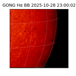 gong - 2025-10-28T23:00:02