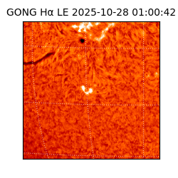 gong - 2025-10-28T01:00:42