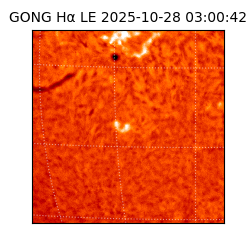 gong - 2025-10-28T03:00:42