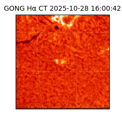 gong - 2025-10-28T16:00:42