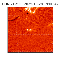 gong - 2025-10-28T19:00:42