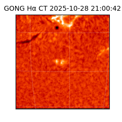 gong - 2025-10-28T21:00:42