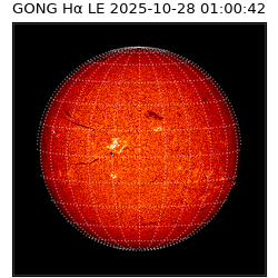 gong - 2025-10-28T01:00:42