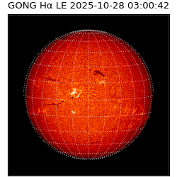 gong - 2025-10-28T03:00:42