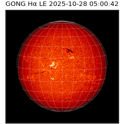 gong - 2025-10-28T05:00:42