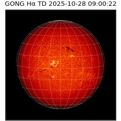 gong - 2025-10-28T09:00:22