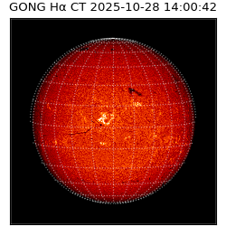 gong - 2025-10-28T14:00:42