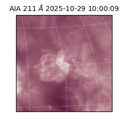 saia - 2025-10-29T10:00:09.626000