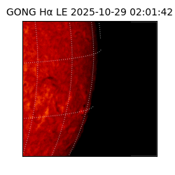 gong - 2025-10-29T02:01:42